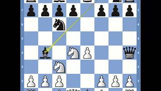 Chess Openings Scotch Game [upl. by Nirual371]