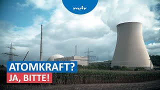 Warum manche Länder wieder auf Kernenergie setzen  Umschau  MDR [upl. by Waneta]