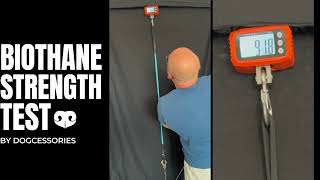 Biothane Dog Leash Strength Test [upl. by Latreece851]