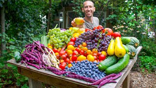 Unbelievable Organic Garden Harvest This is What I Harvested Today [upl. by Etnuaed]