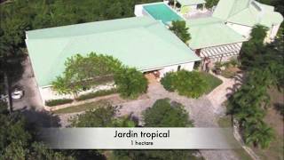 Luxury property  BampB for sale Saint Martin Island  Terres Basses  Announcement real estate [upl. by Llerrad]