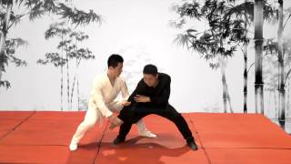 Tai Chi Chuan Demonstration by Master Wang  Kao 靠 [upl. by Nreval]