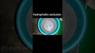 hydrophobic exclusion of water class 11hydrophobic exclusion of water shorts youtubeshorts [upl. by Trescott]