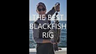 HOW TO TIE A SNAFU RIG FOR BLACK FISH TAUTOG [upl. by Alisen]