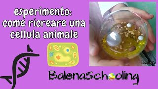 LA CELLULA ANIMALE BalenaSchooling [upl. by Eolanda]