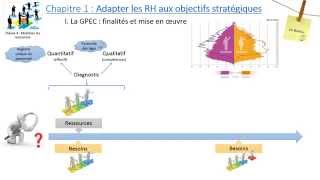 Thème 4  Chapitre 1  Ladaptation des ressources humaines aux objectifs stratégiques [upl. by Osnola850]