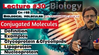 Conjugated molecules  Glycoprotein amp Glycolipids  Lipoprotein Nucleoprotein  Biology class 11 [upl. by Brunhilda]