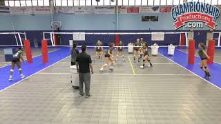 Brian Rosens GameLike Blocking Drill for Volleyball [upl. by Armilla]