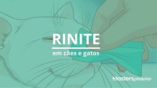 RINITE em cães e gatos  Pneumologia Veterinária [upl. by Eirrahs]