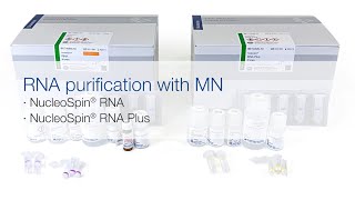 RNA purification with MN – NucleoSpin® RNA and NucleoSpin® RNA Plus [upl. by Dalia]