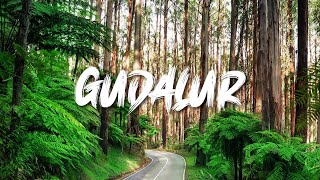 Gudalur  Nilgiris  Tamil Nadu  Aerial View  Drone Shots [upl. by Deerdre]