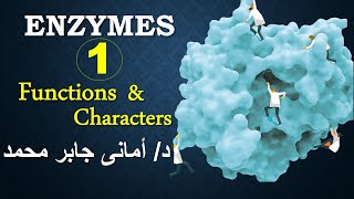 Enzymes function characters Part 1 د أمانى جابرمحمد مقدمة عن الإنزيمات\خصائص\وظيفة \ الجزء الاول [upl. by Idnew]