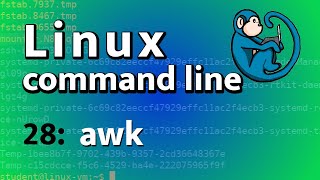 LCL 28  awk  Linux Command Line tutorial for forensics [upl. by Korman829]