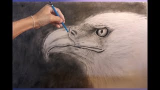 How to draw the Eagle head  Lets to paint with me [upl. by April]