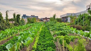 Boston Medical Center Newmarket Farm  Featured Project [upl. by Coke]