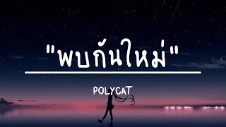 พบกันใหม่  POLYCAT เนื้อเพลง [upl. by Uticas]