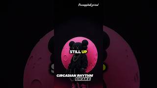 Drake  Circadian Rhythm music hiphop rap newmusic beats songlyrics lyrics drake [upl. by Waldman]