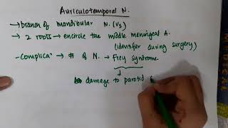 auriculotemporal nerve mp4  Anatomy [upl. by Ronalda]