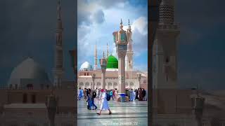 Qasida Burdah Shareef Status  Jummah Mubarak status qaseedaburdasharif jummamubarak shorts sufi [upl. by Jo-Ann]