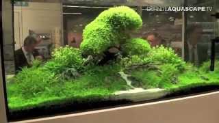 Aquarium ideas from InterZoo 2014 pt32  OASE GmbH [upl. by Malkah303]