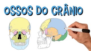 ✅ CRÂNIO OSSOS DA CABEÇA EM 2 MINUTOS [upl. by Grodin]