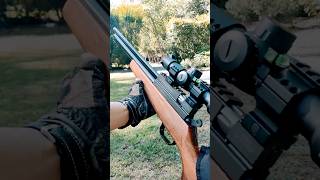 Evanix AR6K 22 Hunting Master PART 3 shorts targetshooting plinking airguns pcp [upl. by Cain]