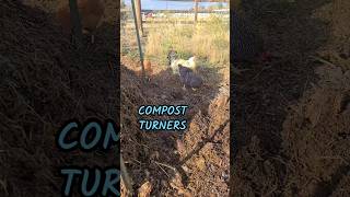 Relentless compost turners whether I want the help or not [upl. by Essenaj71]