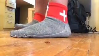 Swiss FYF Sock Review [upl. by Ahsital240]