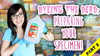 Dyeing The Dead  EP 3 Preparing Your Specimen Part 2 [upl. by Rann]