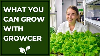 What you can grow with container farms  Your Guide to Growcer [upl. by Lahcim336]