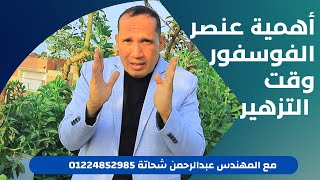 شرح مفصل لاهمية عنصر الفوسفور في جميع مراحل النبات وخصوصا فترة التزهير 01224852985 [upl. by Layla]