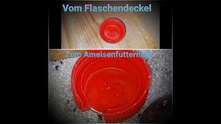 Futternapf für Ameisen selber aus PetFlaschen Basteln  Tutorial  Deutsch [upl. by Lasley]