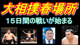 大相撲春場所 見所いっぱい 朝乃山 若隆景 伯桜鵬 大の里 あと1人は⁉️【個人的】 [upl. by Jennette437]