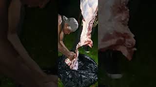 Butchering beef beef briefly [upl. by Wiley]