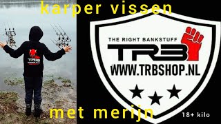 karpervissen met merijn [upl. by Piggy]