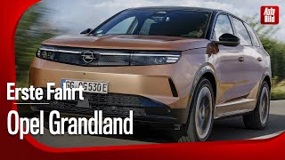 Opel Grandland  Elektrisches SUV  Erste Fahrt mit Jan Horn [upl. by Eniger]