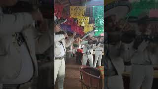 Mariachis en Guadalajara 3310273446 [upl. by Niple]