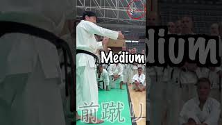 Front Kick Mae Geri by Tatsuya Naka Sensei shorts [upl. by Stultz]