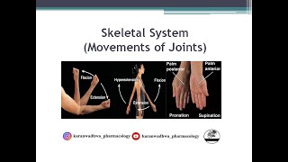 Skeletal System  Movements of joints  Types of Movements  Synovial Joints [upl. by Zannini561]