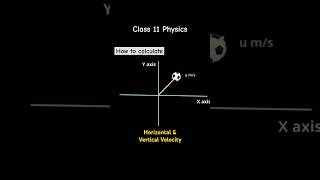 Horizontal and vertical velocity of Projectile motion shorts [upl. by Gairc]