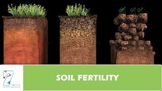 SOIL FERTILITY [upl. by Notsgnal]