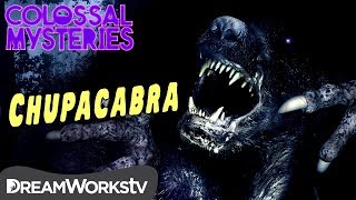 What is El Chupacabra  COLOSSAL MYSTERIES [upl. by Niawtna]