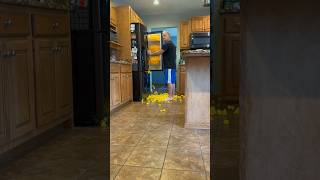 Filling My Parents Kitchen With Rubber Ducks [upl. by Papageno52]