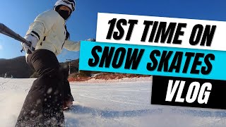 First Time on Sled Dogs Snowskates  Vlog [upl. by Elatia]