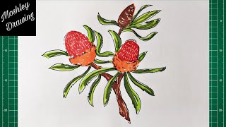 How to Draw a Banksia Flower [upl. by Airdnahs48]