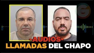 Audios de las llamadas del Chapo y El Cholo Iván JuicioChapo [upl. by Kliber]