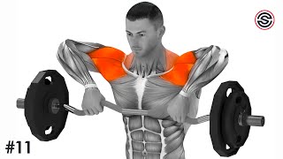 The Best Shoulder Exercises  BarbellDumbbell Only [upl. by Jesh]