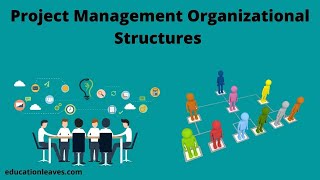 Project Management Organizational Structures [upl. by Fiann]