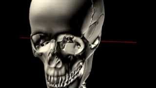 The Skull in Motion  Atlas and Occiput [upl. by Eiral]