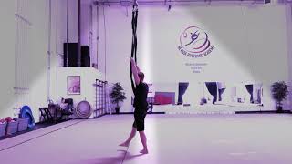 Aerial Straps Tutorial [upl. by Artur]